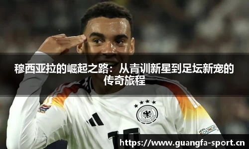 广发体育平台